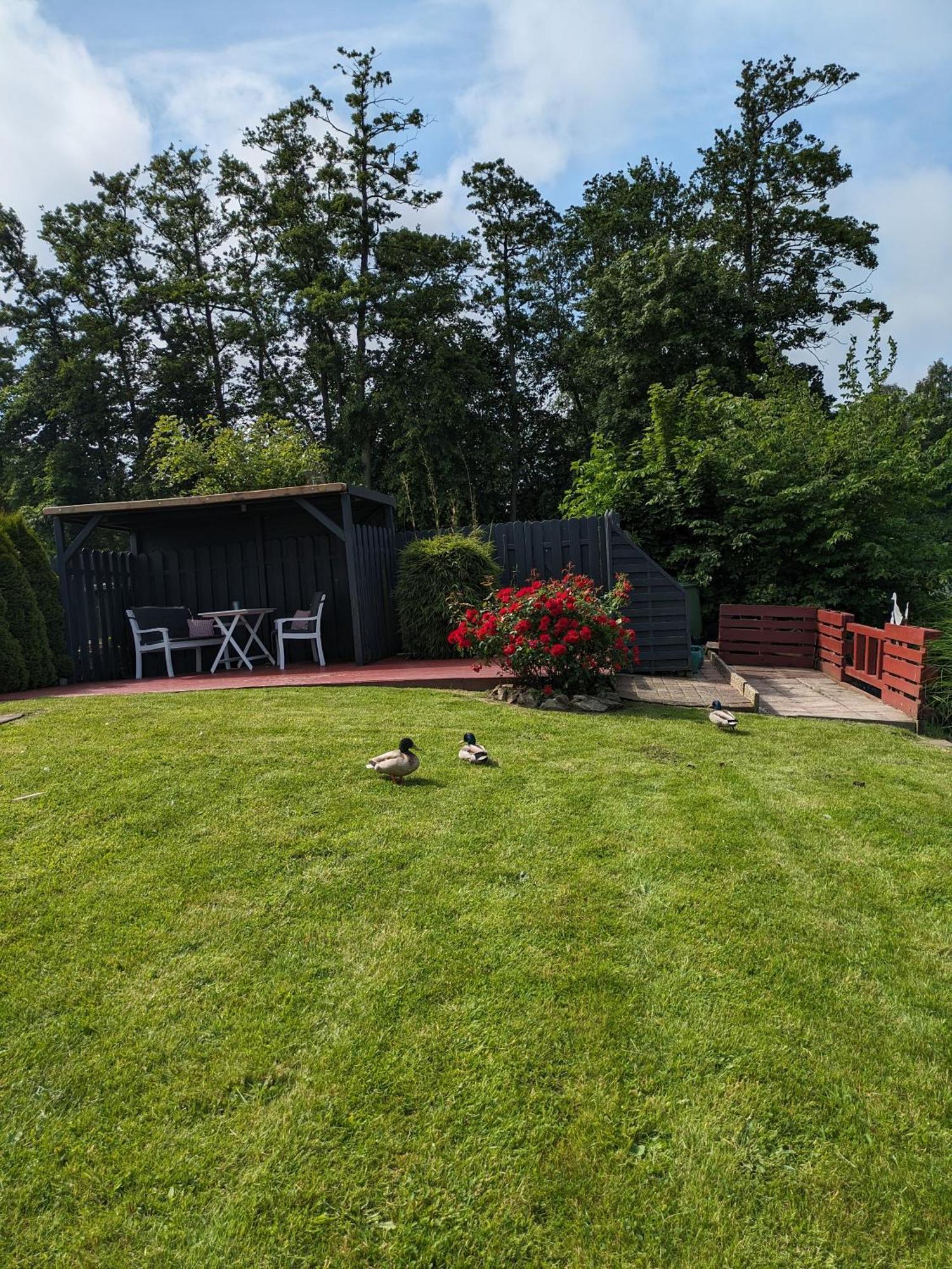 Haus Jane Vila Dornum Exterior foto